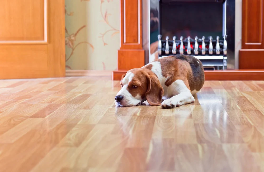 What To Know About Installing Wood Floors In The Winter