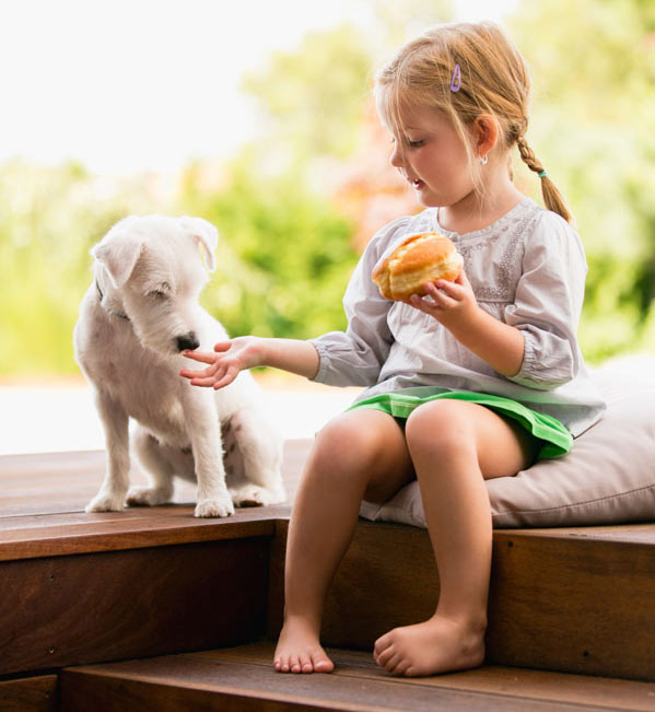 Pet Safe- Woca Exterior Cleaner and Oil