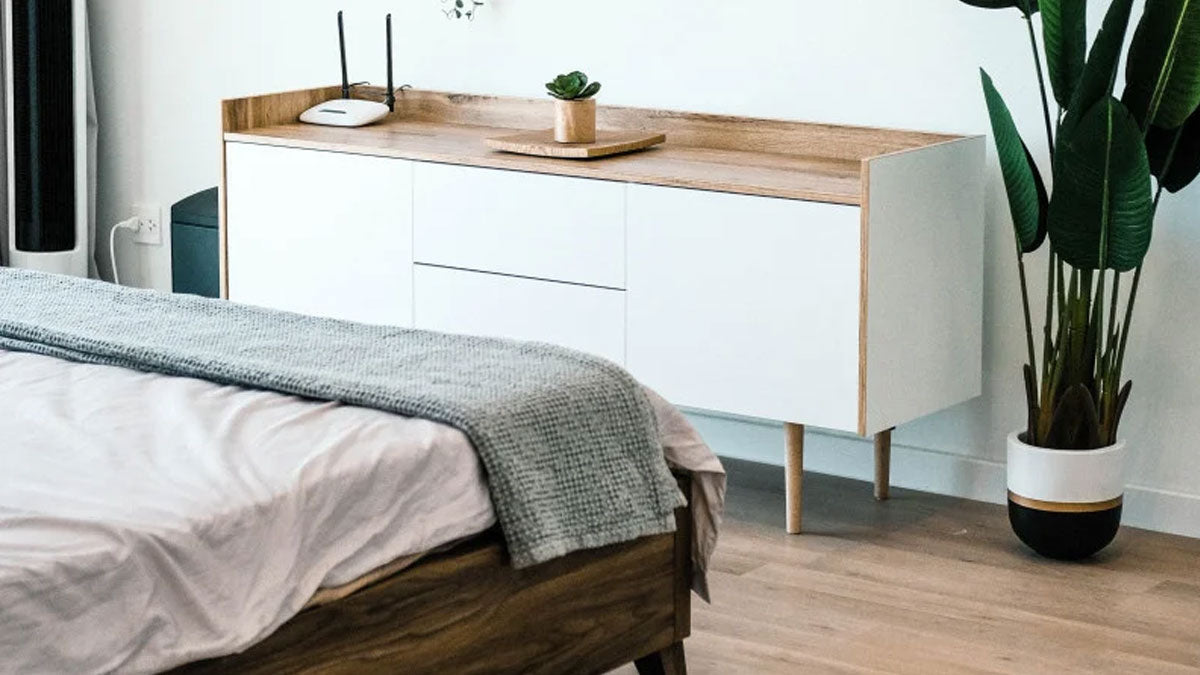 How to Balance the Wood Element in Feng Shui – WOCA Woodcare
